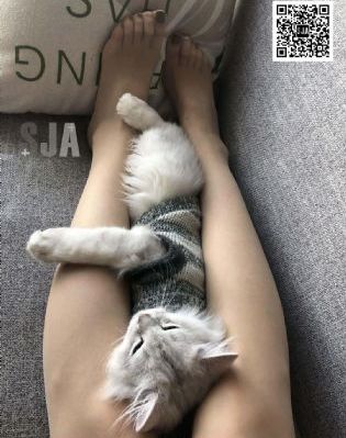 蜘蛛侠1在线观看免费完整版高清