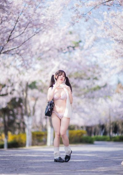 骡子电影在线观看免费完整版