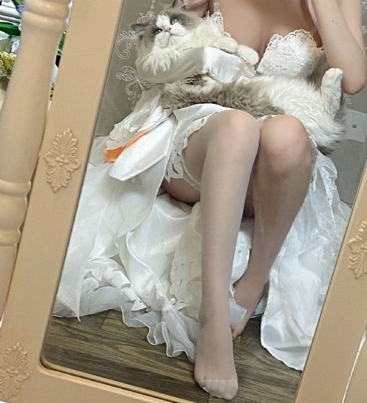 午夜视频网站在线免费观看