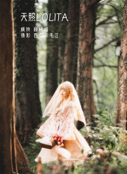 美景之屋美味的性
