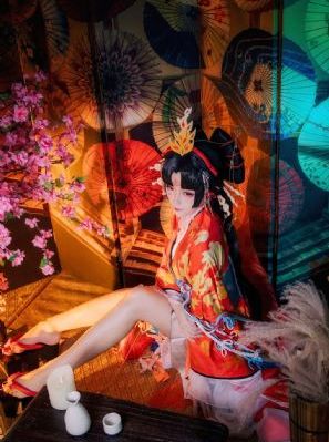 雍正王朝免费看