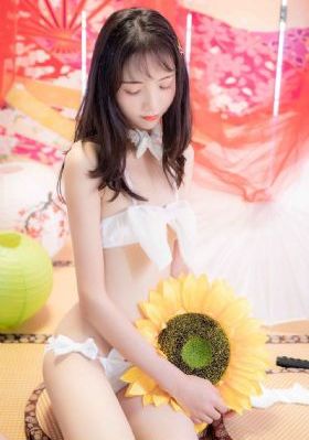 女人12毛片视频